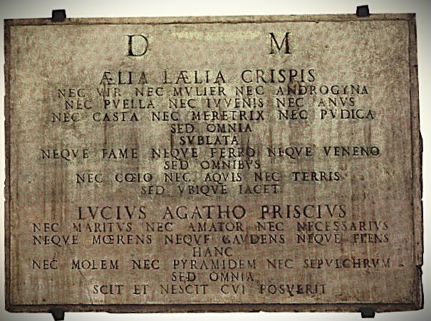 Aelia laelia crispis