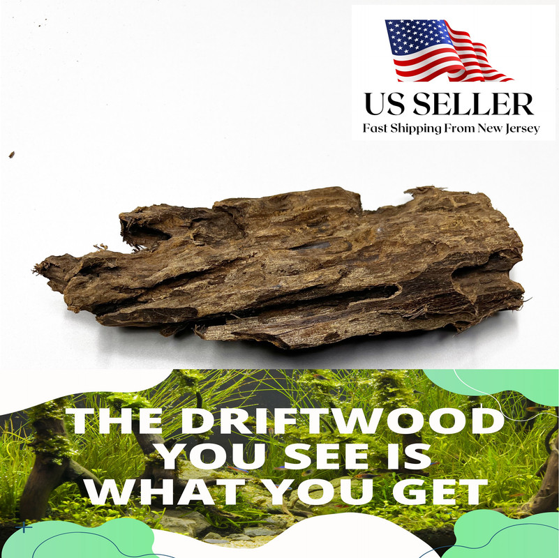 mangrovedriftwood