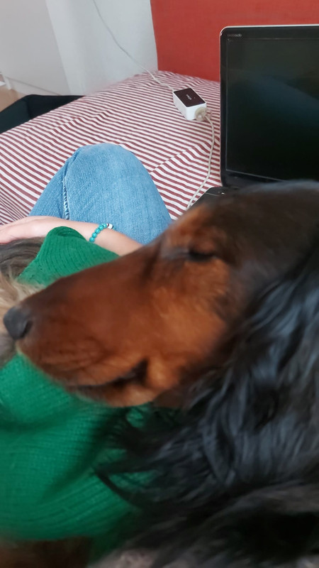 [Image: IMG-20201107-WA0000.jpg]