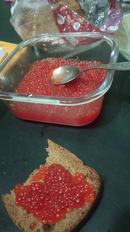 IMG_2023_12_17_20_09_20_267773687244722667611