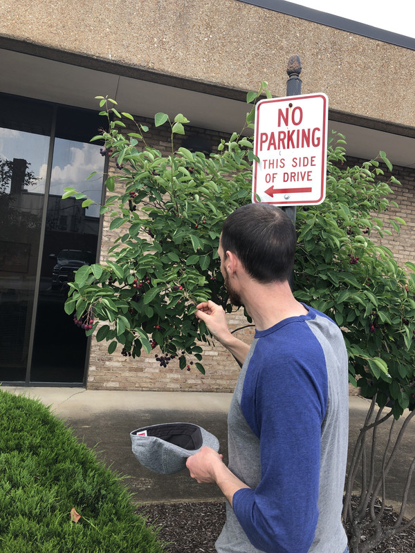 EF5462ED-AE02-419F-9FFC-29CA731A9B9C