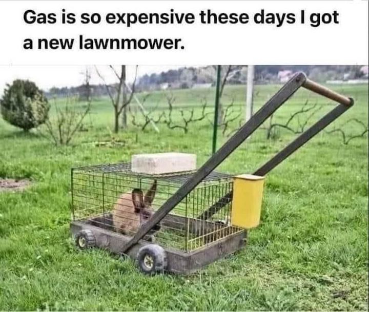 rabbitmower.jpg