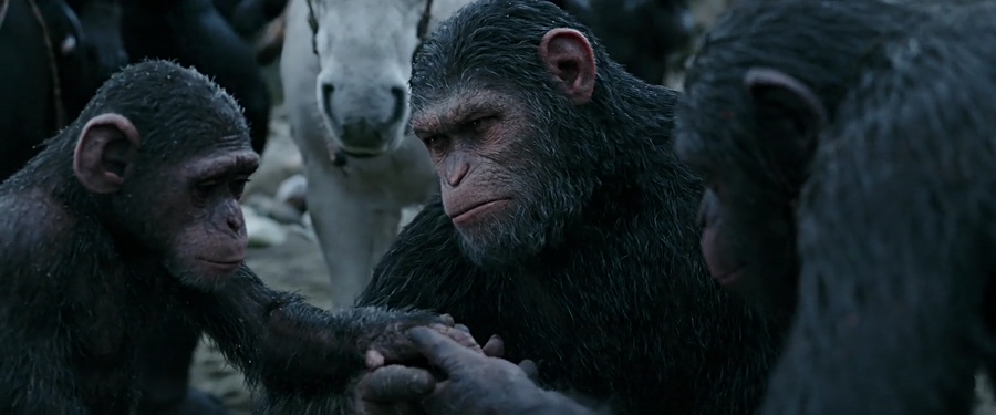 War for the Planet of the Apes 2017 BluRay [Hindi + Tamil + Telugu + English] 480p, 720p, 1080p ESub Screenshot