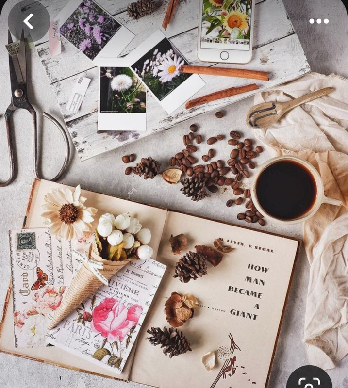 Screenshot_20230913_174550_Pinterest