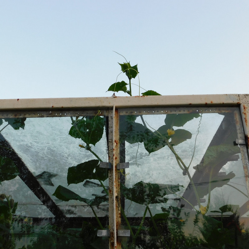 Дачно-барбейское июль, Харлинское 2-я серия 013