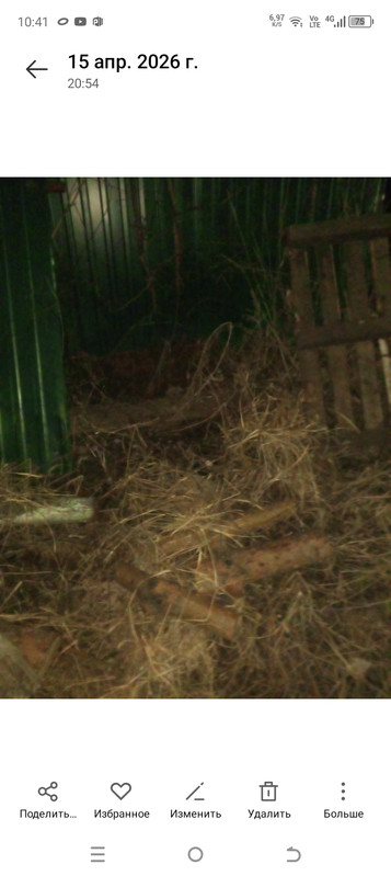 Screenshot 20260416 104141