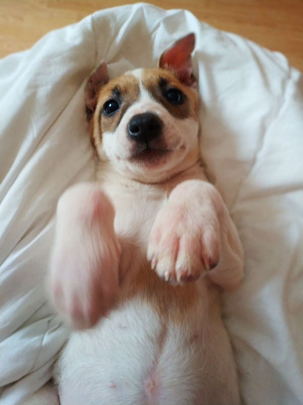 635F0212-CE9B-4E77-8C3B-2257B1D15291