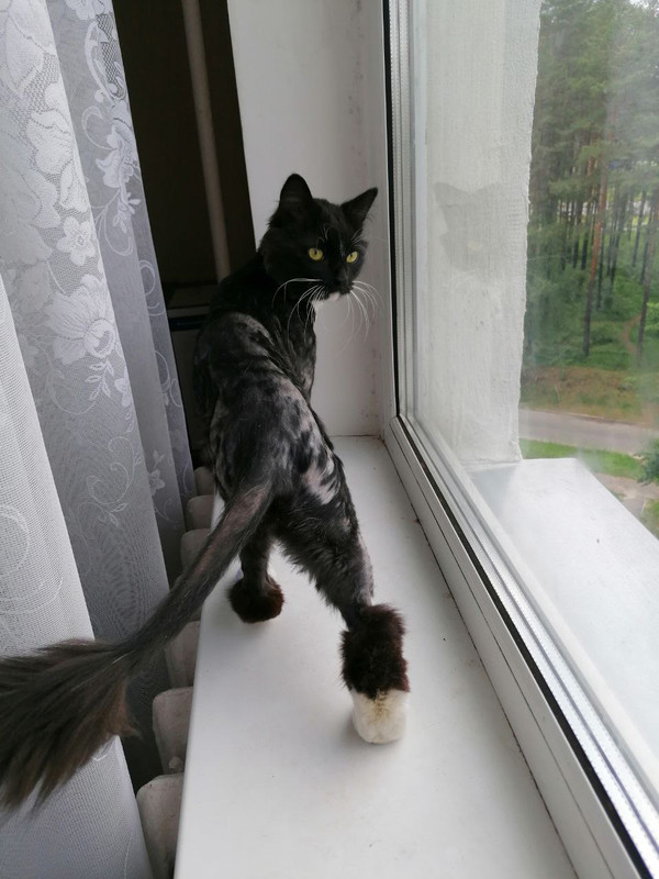 68FAD211-1251-4F25-80AA-00D794F63AF3