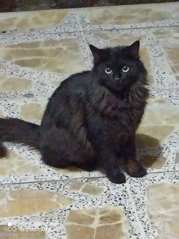 IMG_٢٠٢١٠٤٠٩_٢٢٥٤٠٩