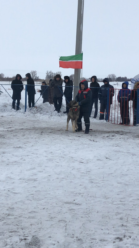 72A35205-9244-43AA-AE4A-0075BBD9901A