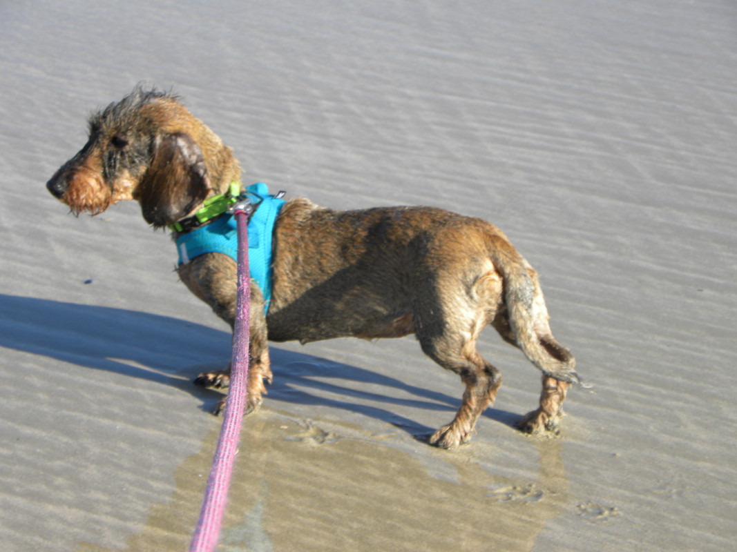 [Image: DSCN9550.jpg]