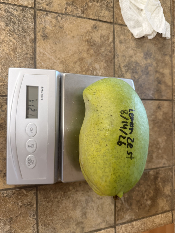 IMG 2205