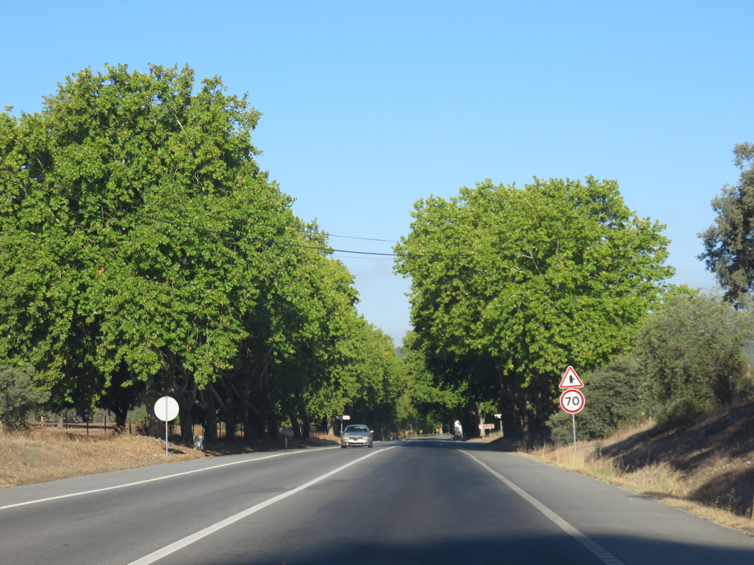 IMG 7794 — Postimages