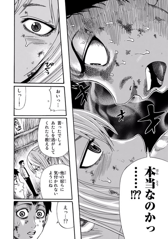 Shitou Sensen EXVol2-14