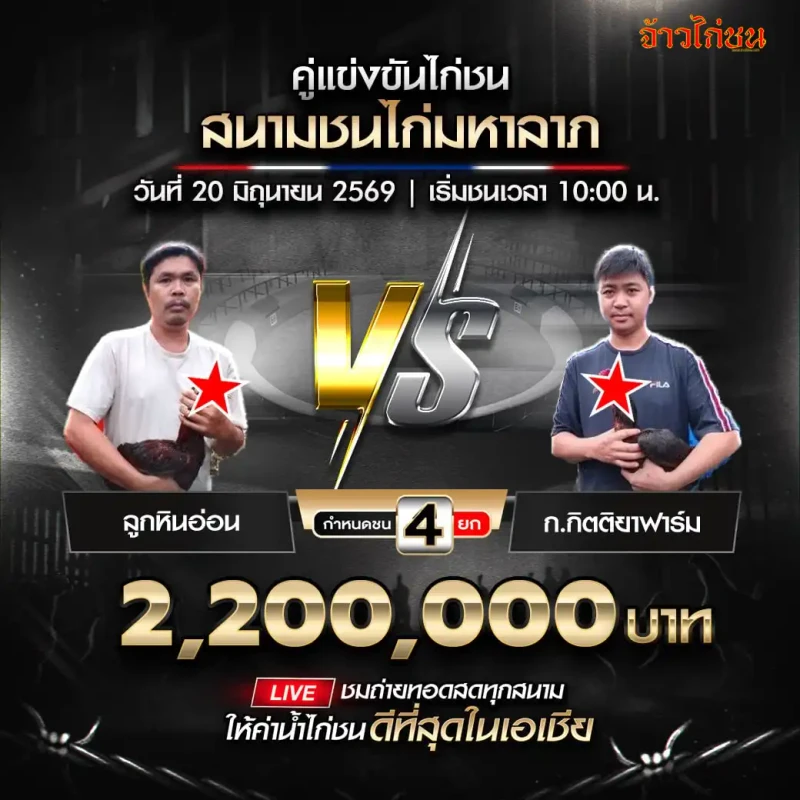 ลูกหินอ่อน พบ ก.กิตติยาฟาร์ม โปรแกรมไก่ชน สนามชนไก่มหาลาภ 20 มิถุนายน