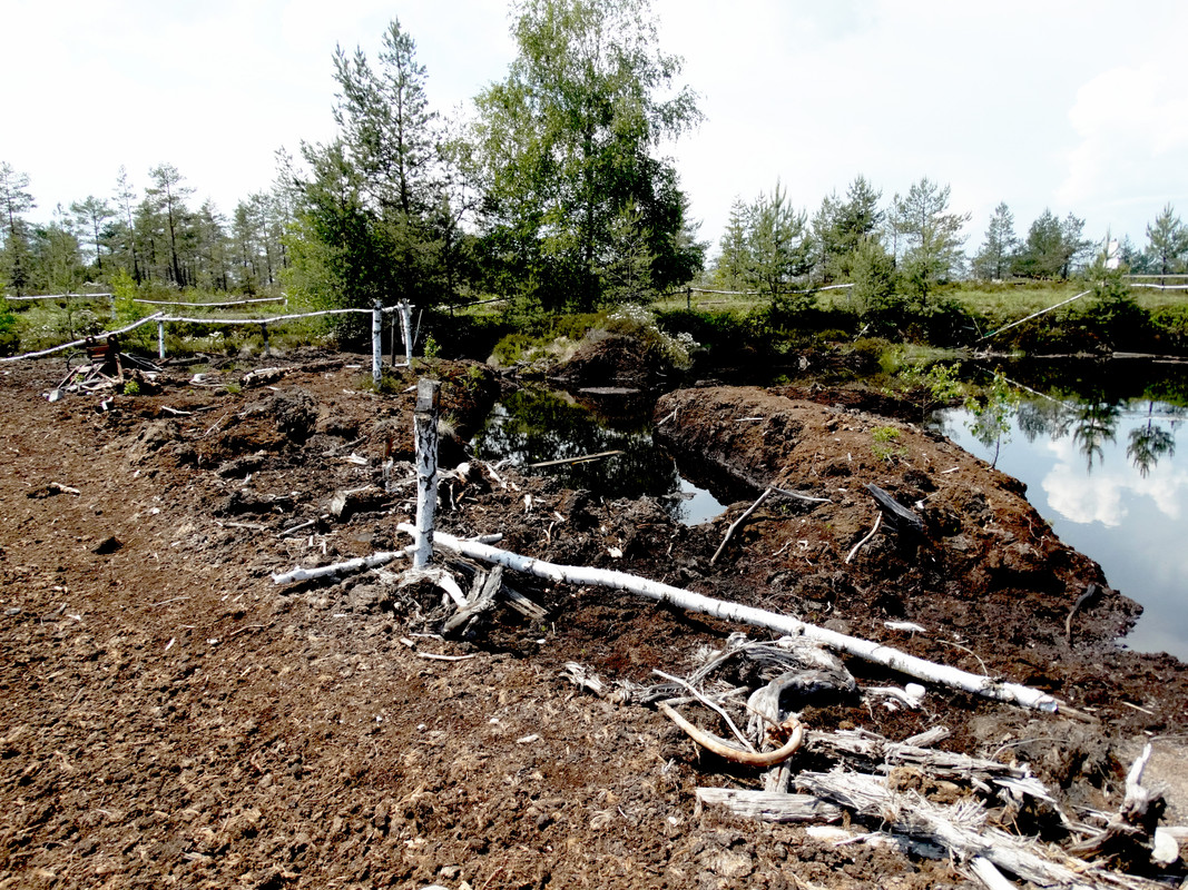 04.25 - DSC08098 (Czesio1)