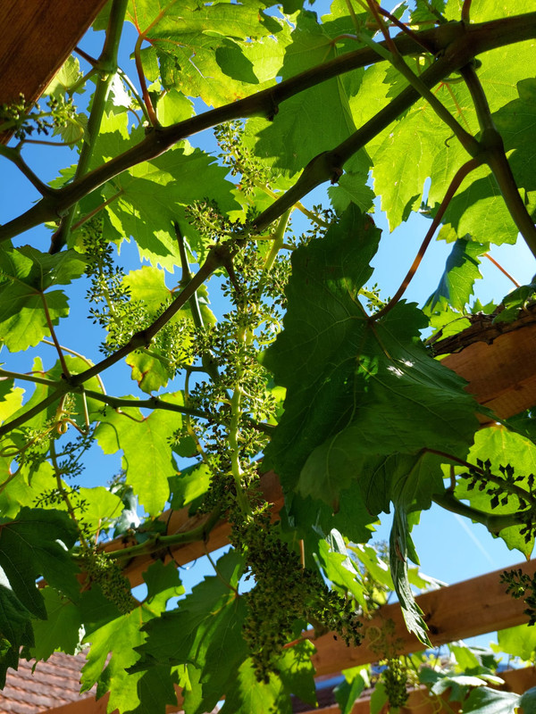 WhatsApp Image 2025-06-14 at 15.36.05 (3)