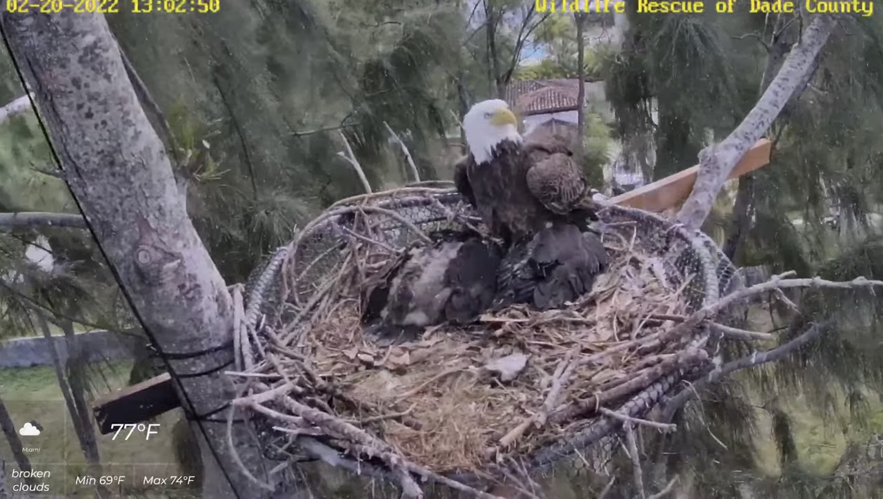 E622E34D-083B-49AE-8862-46809B3C4C9E