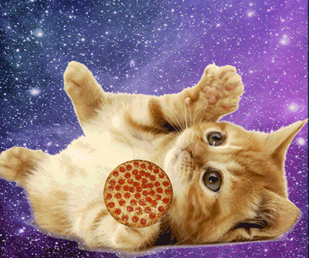 GIF-20250825-073313-184.gif