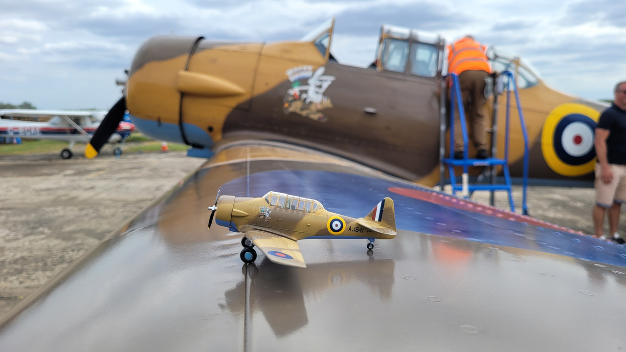 Wacky Wabbits - Special Hobby Harvard with extras - Ready for ...