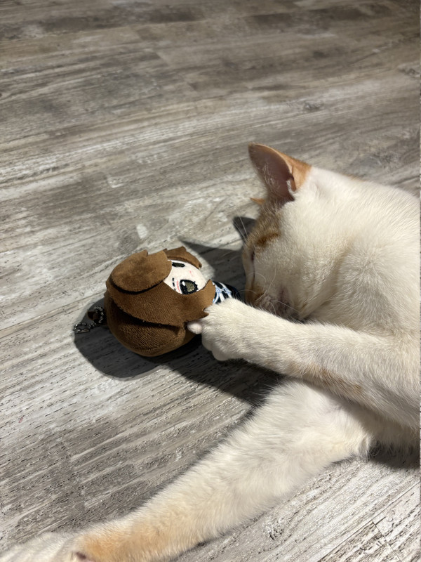 moth and luca plushie