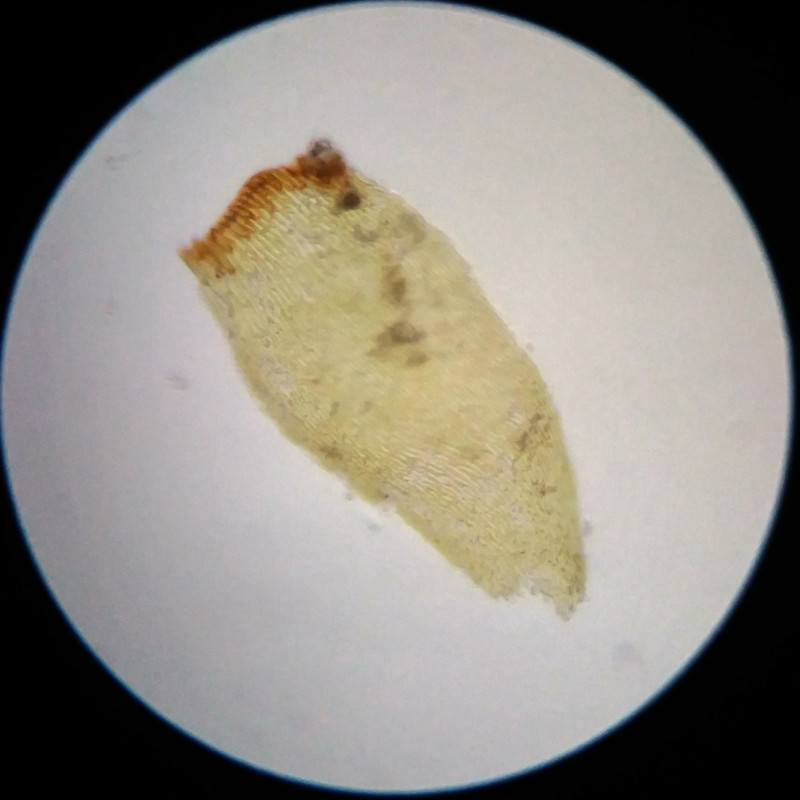 IMG 20250617 110959 HDR