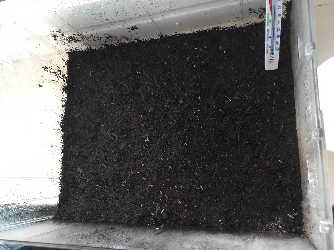 0DAF566E-5A8E-4836-8901-88A03F202873