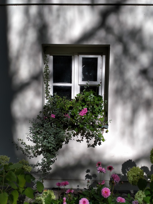 002 - IMG20210904154827