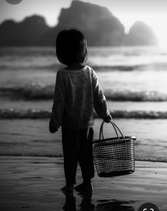 Screenshot_20231217_224724_Pinterest