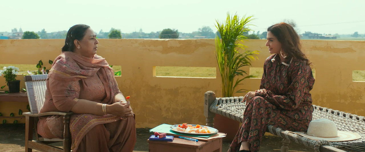 Ni Main Sass Kuttni 2 2024 WebRip [Punjabi] 480p, 720p ESub Screenshot