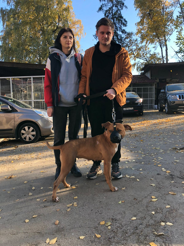 278EE12A-AFCD-408C-867C-8E2F3F823058