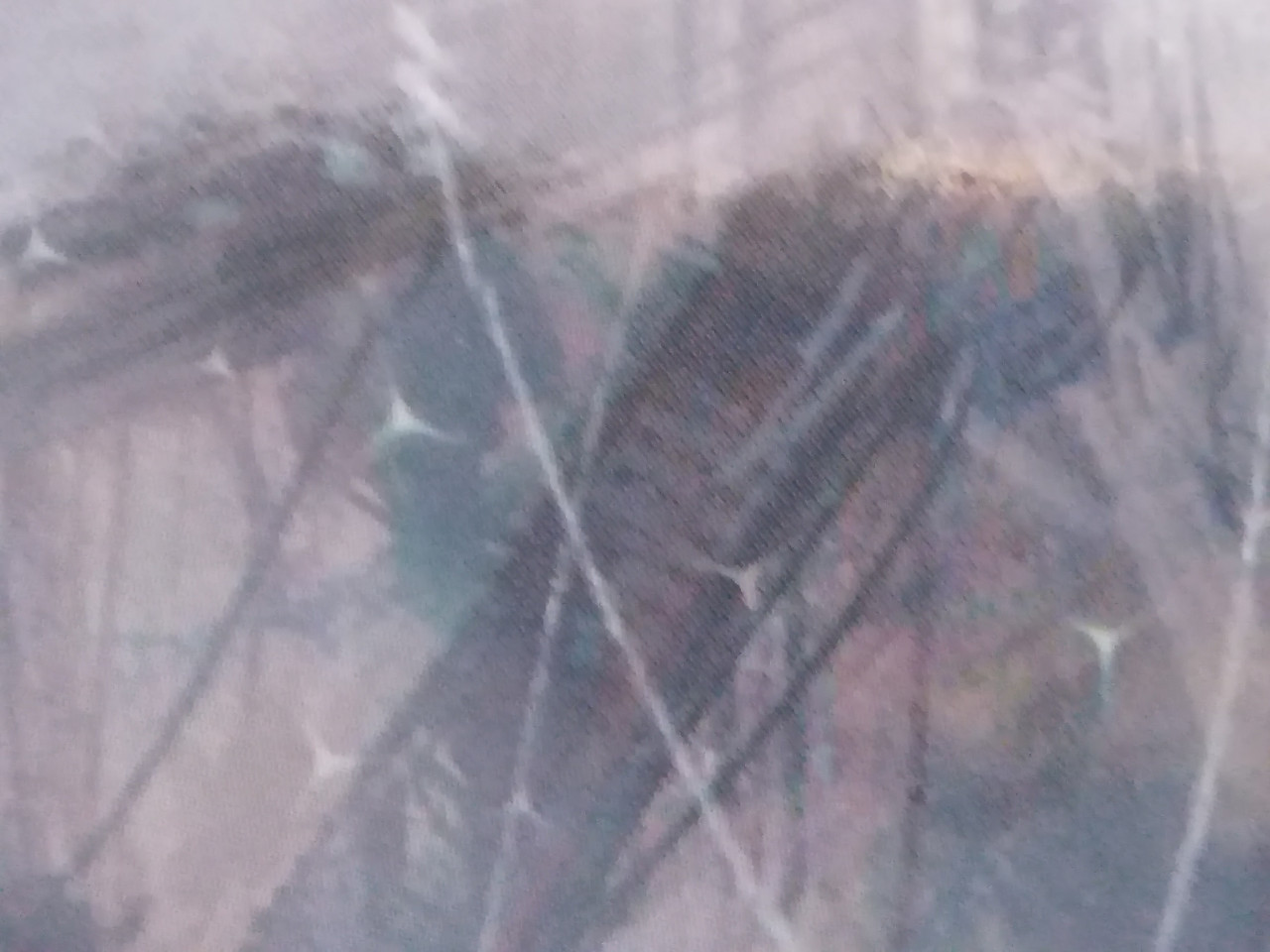 3IMG 20251227 101003