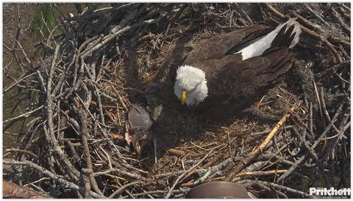 Screen Shot 12 23 25 at 09 34 PM