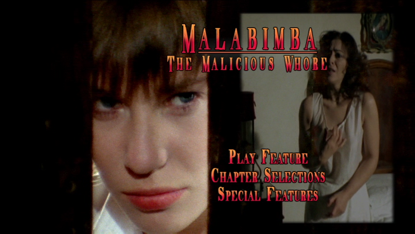 vlcsnap-2021-01-15-16h09m36s553