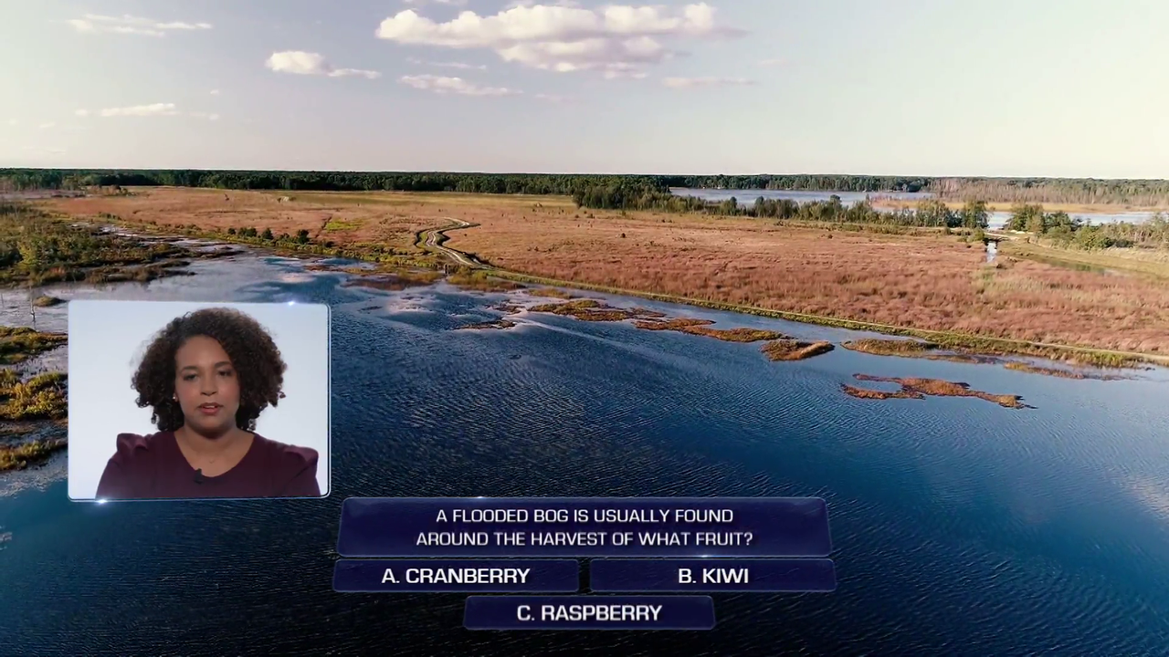 vlcsnap-2020-06-20-11h21m01s645