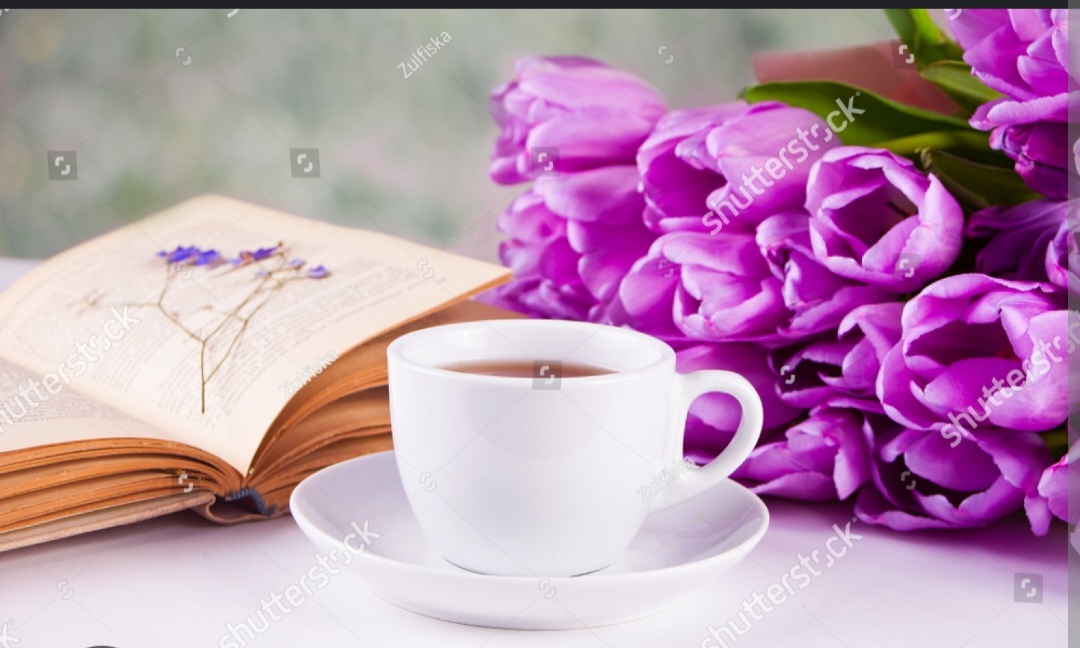 Screenshot_20221126-003920_Chrome