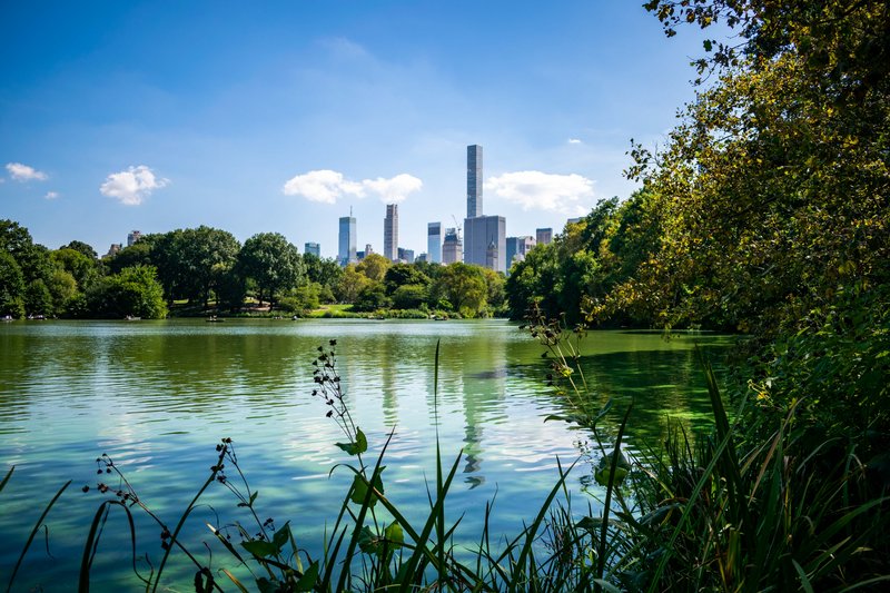 Nueva York en Septiembre - Blogs de USA - Día 3 - Museo Americano de Historia Natural y Central Park (8)