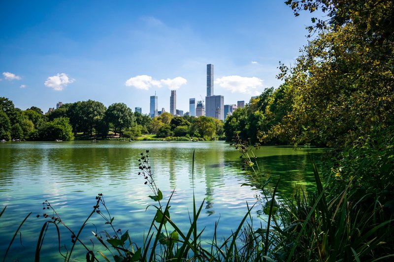 Día 3 - Museo Americano de Historia Natural y Central Park - Nueva York en Septiembre (8)