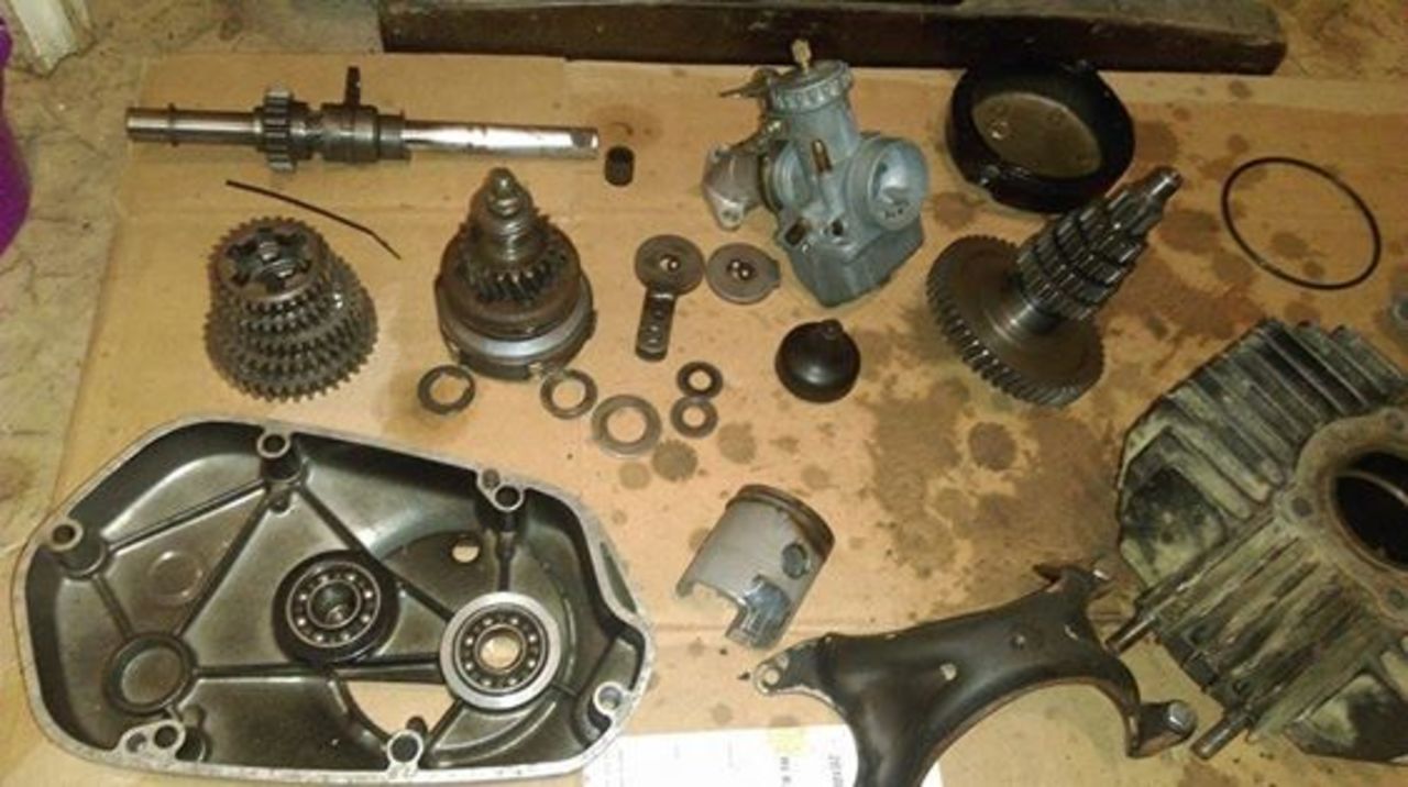 12047436_10208019920599842_948880291_n