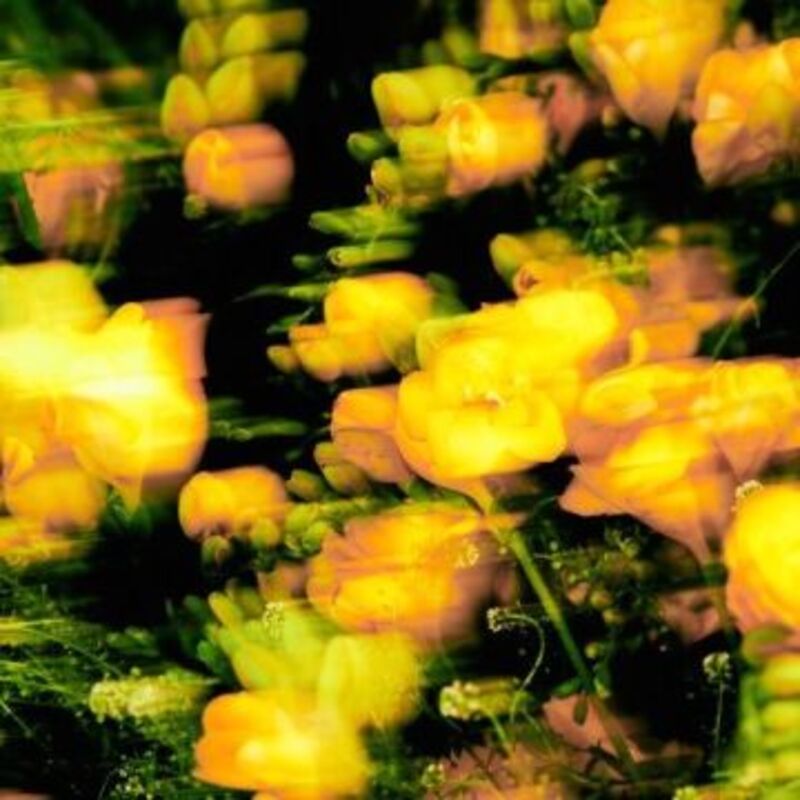 Good Day (Feat.박재범, 1iL) - 동해 (DONGHAE) ALBUM COVER