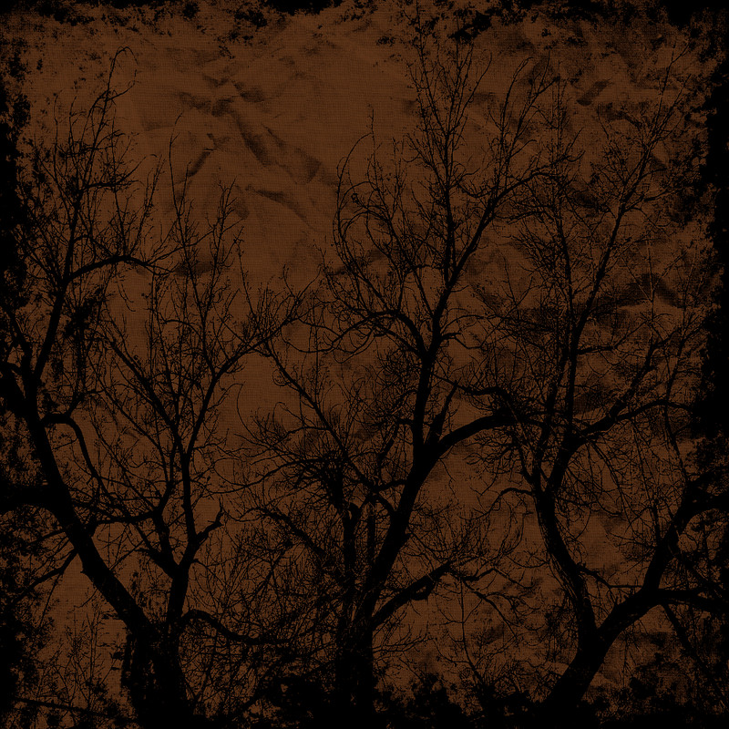 Autumn Witchery Papers (16)