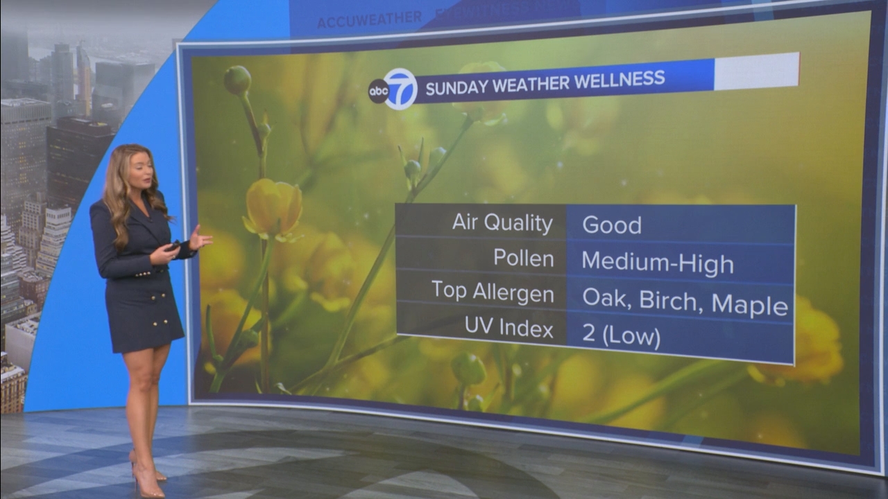 Eyewitness News Sunday Morning_20250504_14001500.ts_snapshot_00.23.48.722