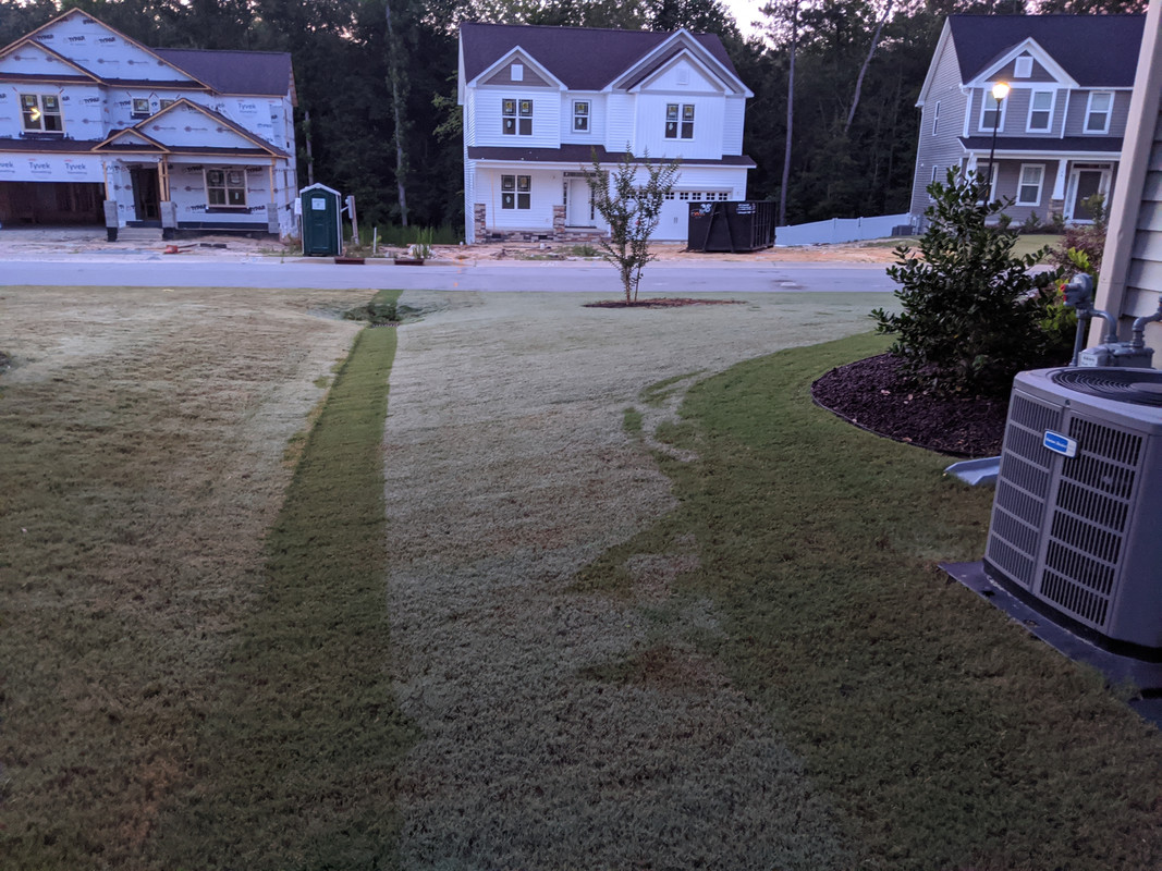 MVIMG_20200627_054736