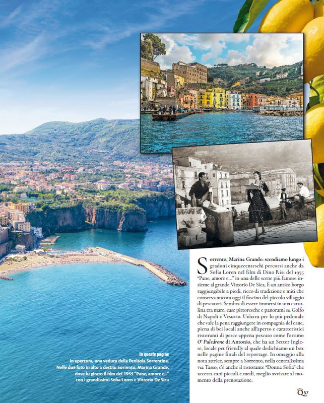 QuattroZampe Nov 2023 (2)