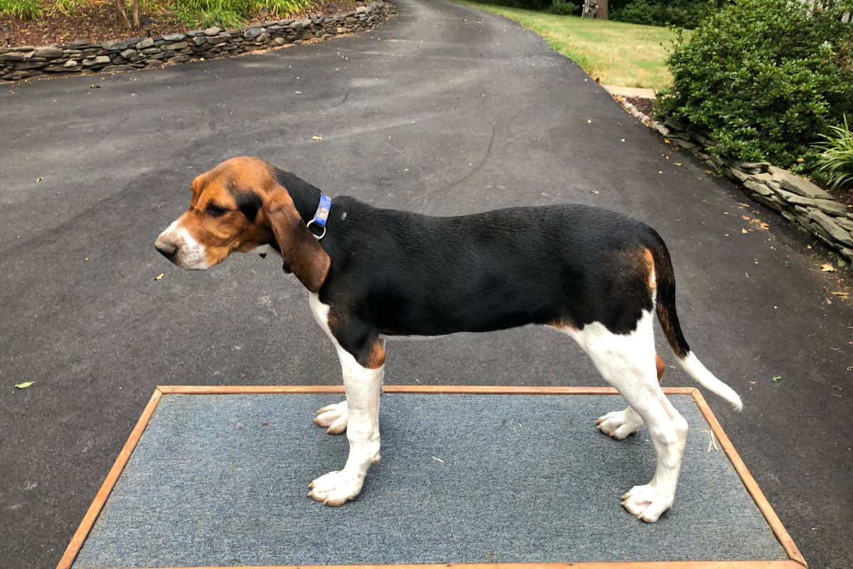 1E72134E-13A3-43B4-B85F-E4639F19FA73