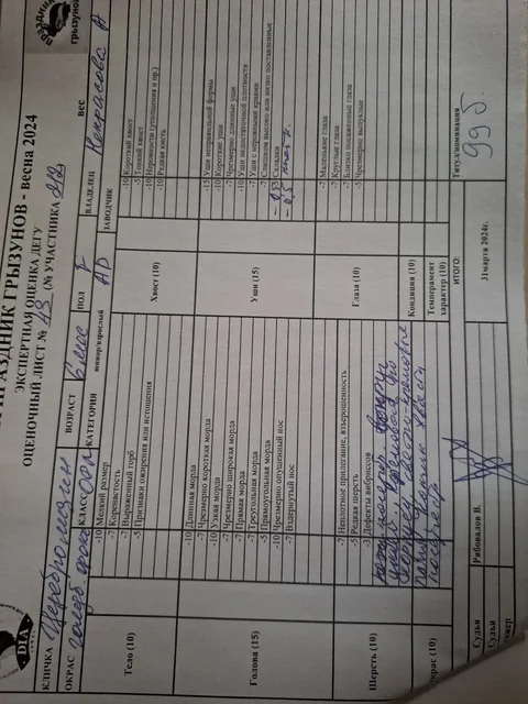 Изображение