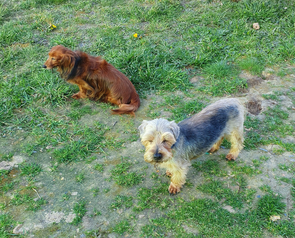 [Image: 20220417-075528.jpg]