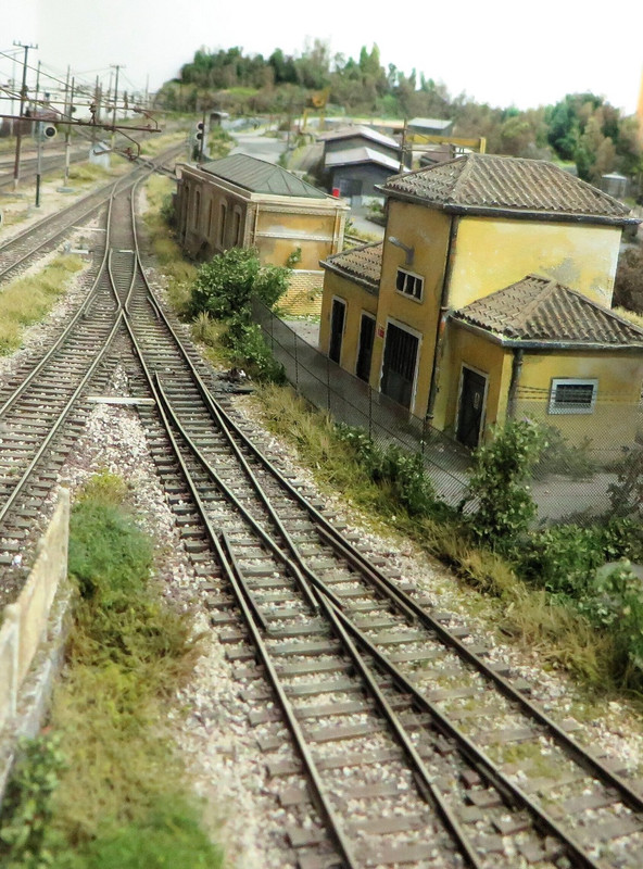 IAMG_5772 (205)_proc_proc