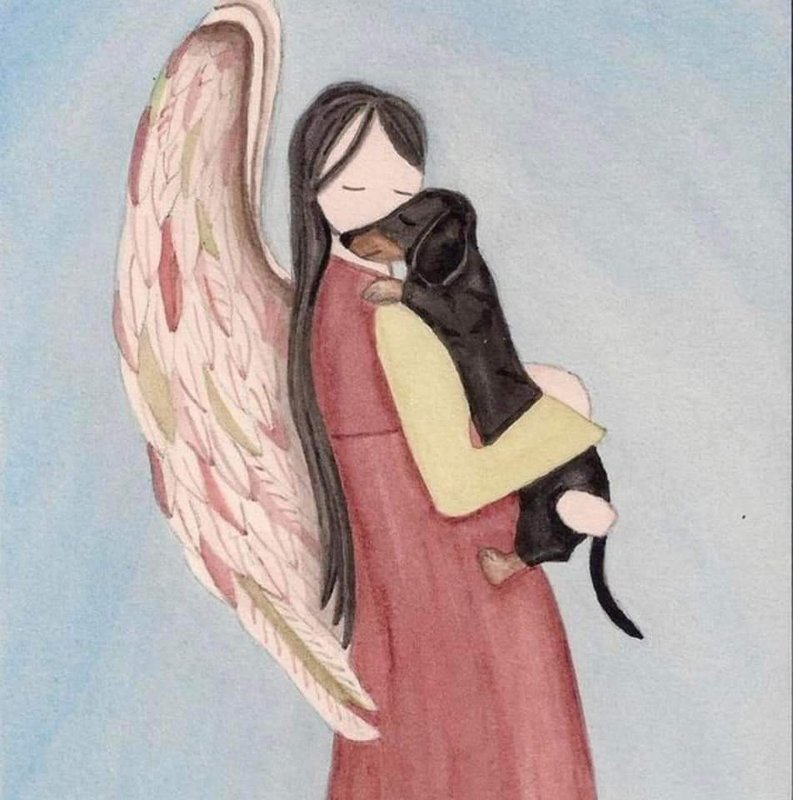 [Image: D-c-s-chien-4.jpg]