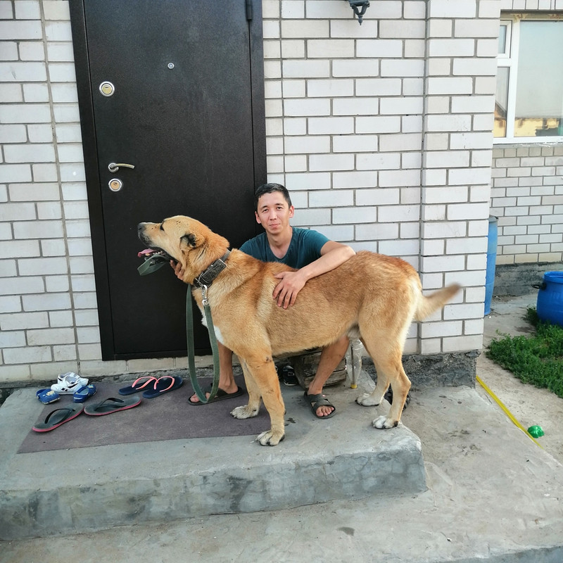 image-24-05-20-11-57-10